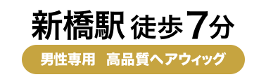 新橋駅徒歩7分 男性専用  高品質ヘアウィッグ