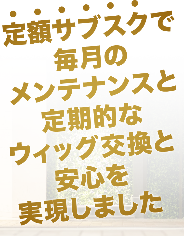 定額サブスクで毎月のメンテナンスと定期的なウィッグ交換と安心を実現しました